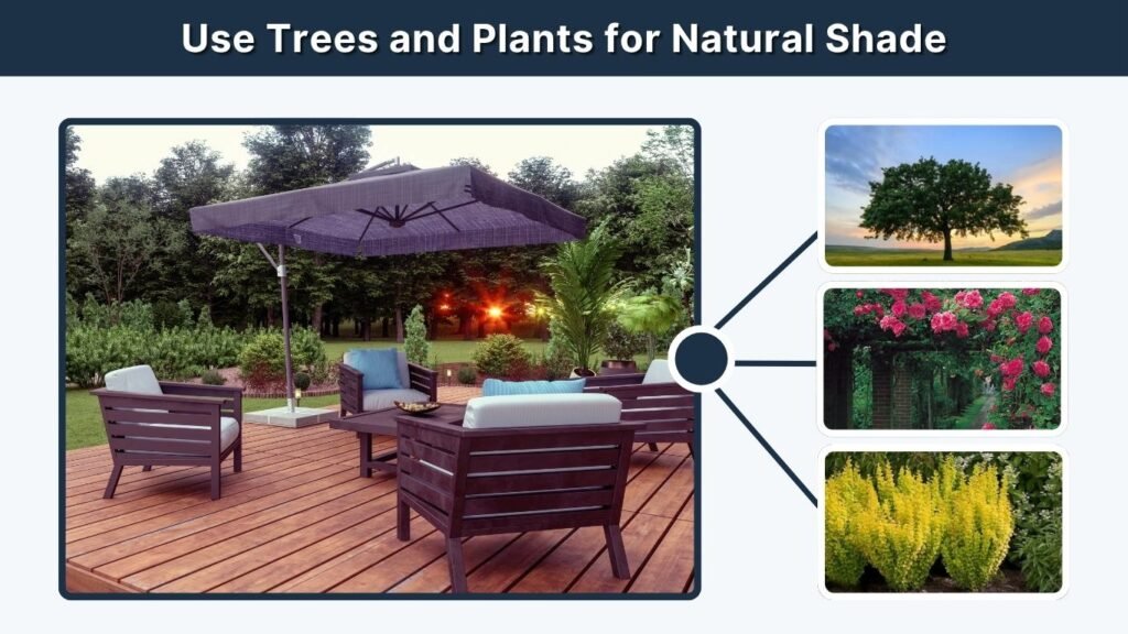 Use Trees and Plants for Natural Shade